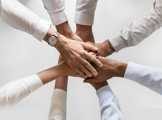 Rinku Company Team Work